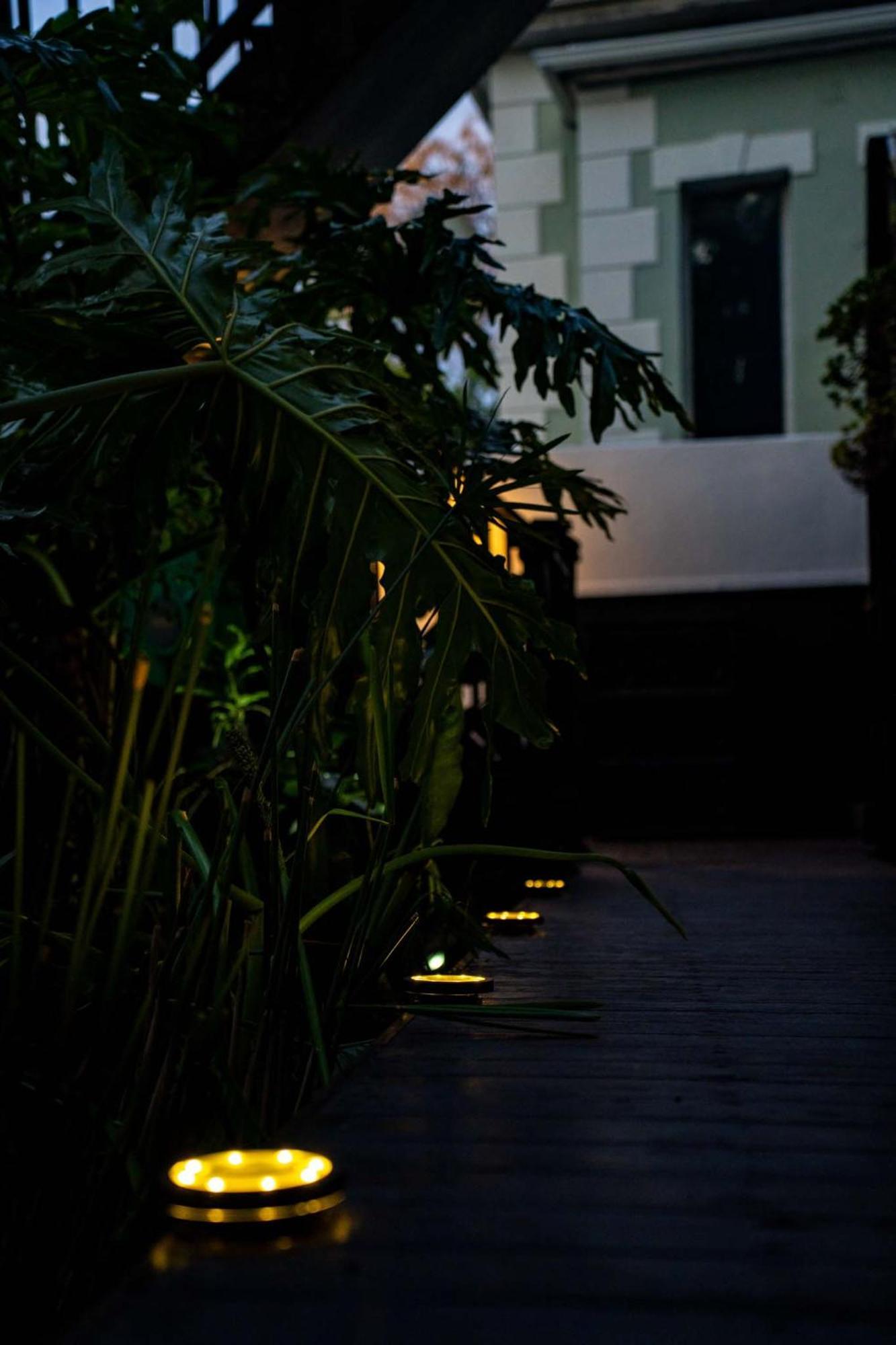 Point's Snug - Indulge In An Urban Oasis Apartment Cape Town